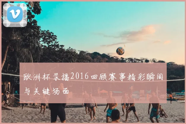 欧洲杯录播2016回顾赛事精彩瞬间与关键场面