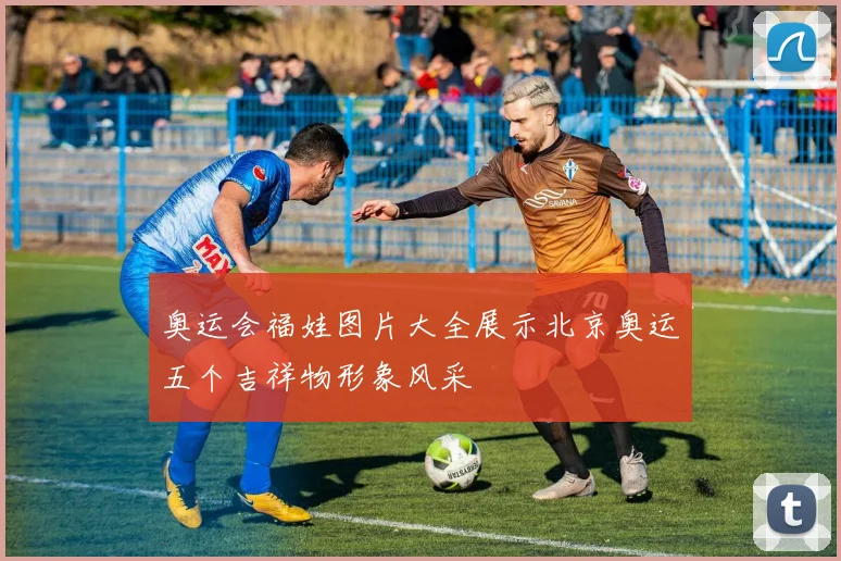 奥运会福娃图片大全展示北京奥运五个吉祥物形象风采