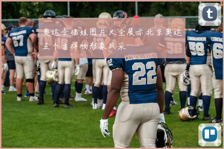 奥运会福娃图片大全展示北京奥运五个吉祥物形象风采