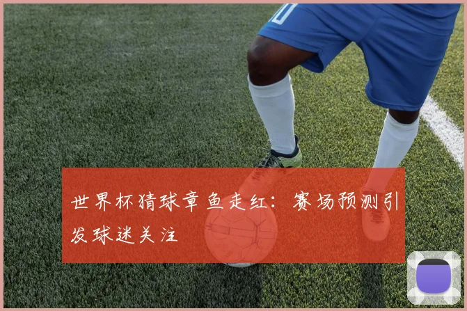 世界杯猜球章鱼走红:赛场预测引发球迷关注
