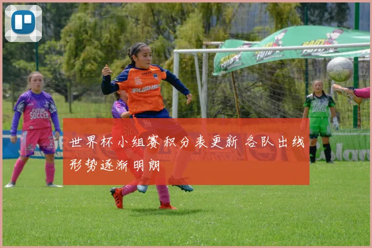 世界杯小组赛积分表更新 各队出线形势逐渐明朗