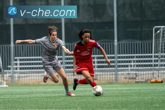 App Interface Preview